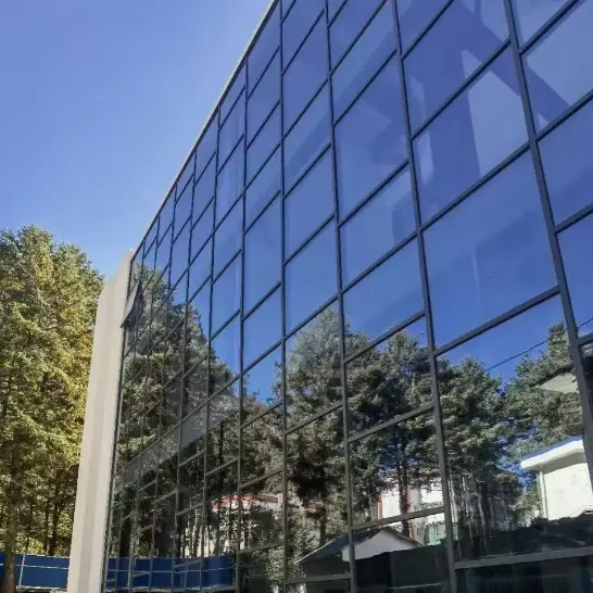 Ingelijste vliesgevels